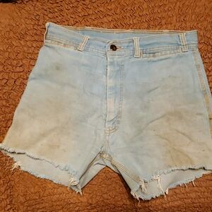 1970 Cut Off Distressed Grunge Branded Lion Shorts 28 waist